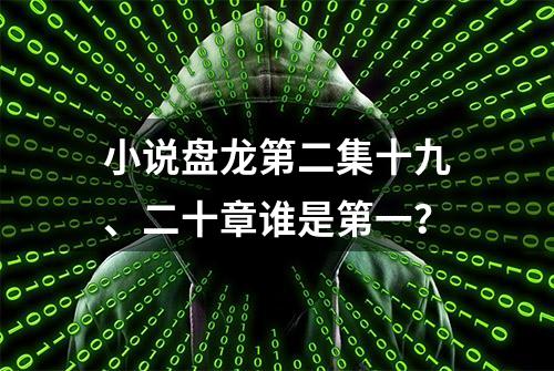 小说盘龙第二集十九、二十章谁是第一？