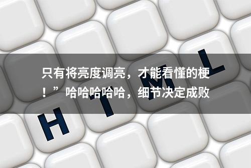 只有将亮度调亮，才能看懂的梗！”哈哈哈哈哈，细节决定成败