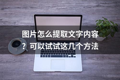 图片怎么提取文字内容？可以试试这几个方法