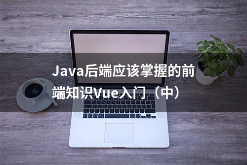 Java后端应该掌握的前端知识Vue入门（中）