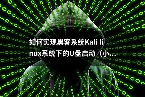 如何实现黑客系统Kali linux系统下的U盘启动（小白指导）