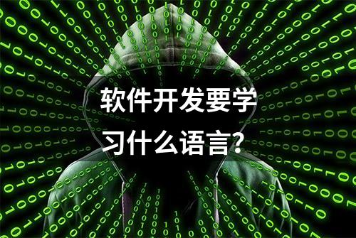 软件开发要学习什么语言？