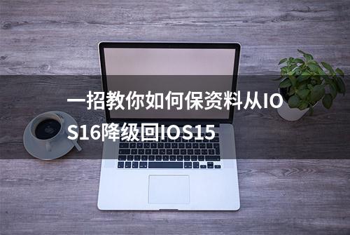 一招教你如何保资料从IOS16降级回IOS15