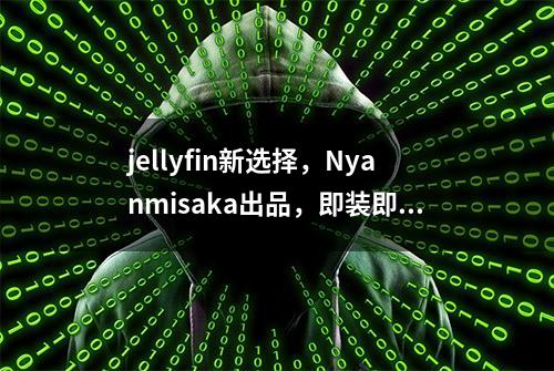 jellyfin新选择，Nyanmisaka出品，即装即硬解