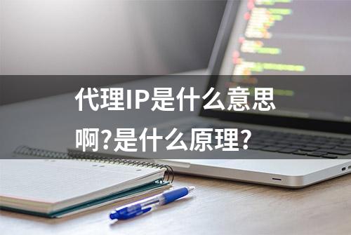 代理IP是什么意思啊?是什么原理?