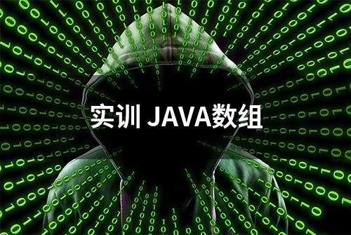 实训 JAVA数组