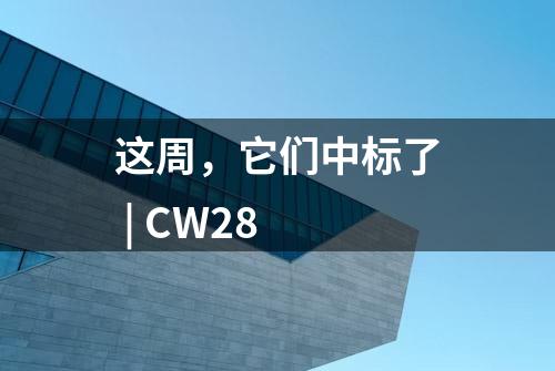 这周，它们中标了 | CW28