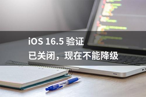 iOS 16.5 验证已关闭，现在不能降级