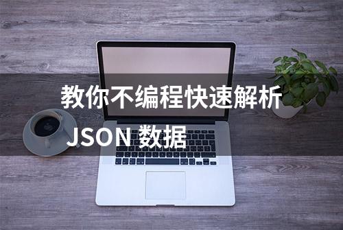 教你不编程快速解析 JSON 数据