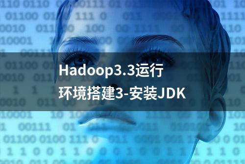 Hadoop3.3运行环境搭建3-安装JDK