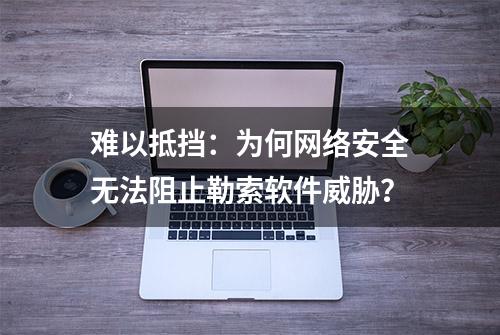 难以抵挡：为何网络安全无法阻止勒索软件威胁？