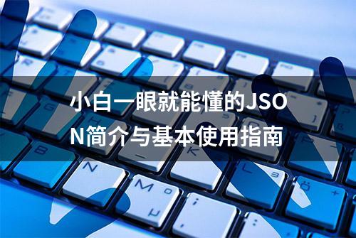 小白一眼就能懂的JSON简介与基本使用指南