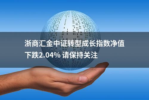 浙商汇金中证转型成长指数净值下跌2.04% 请保持关注