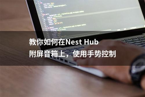 教你如何在Nest Hub附屏音箱上，使用手势控制