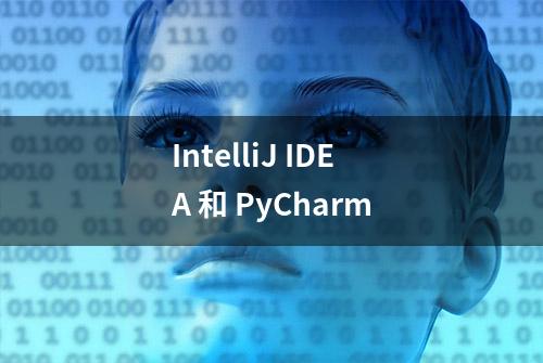 IntelliJ IDEA 和 PyCharm