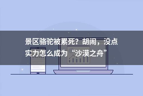 景区骆驼被累死？胡闹，没点实力怎么成为“沙漠之舟”