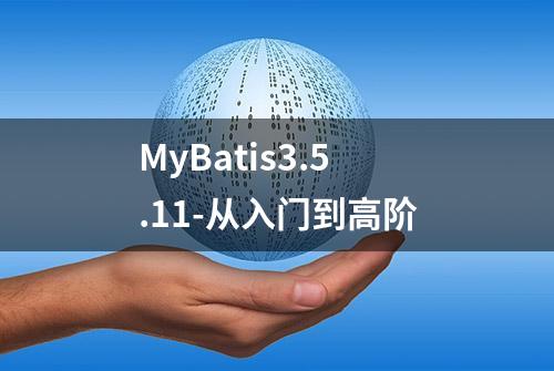 MyBatis3.5.11-从入门到高阶