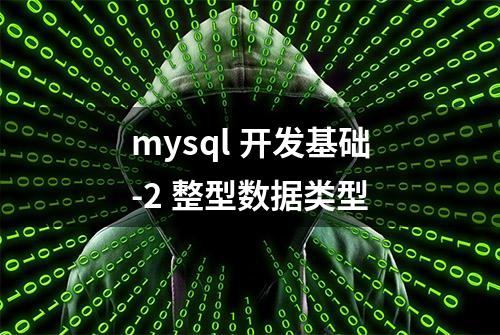 mysql 开发基础-2 整型数据类型