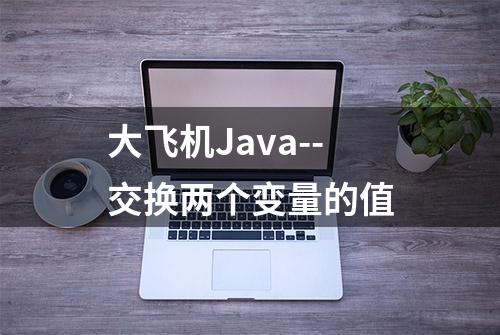 大飞机Java--交换两个变量的值