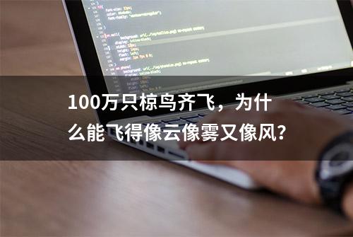 100万只椋鸟齐飞，为什么能飞得像云像雾又像风？