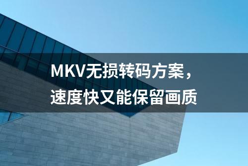 MKV无损转码方案，速度快又能保留画质