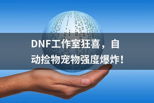 DNF工作室狂喜，自动捡物宠物强度爆炸！