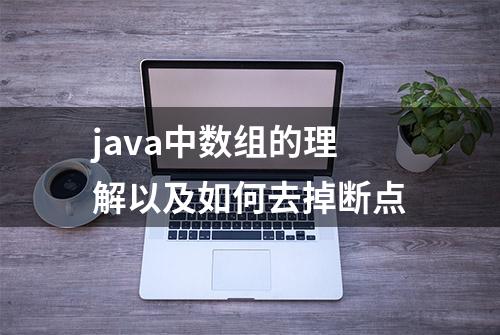 java中数组的理解以及如何去掉断点