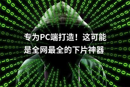 专为PC端打造！这可能是全网最全的下片神器