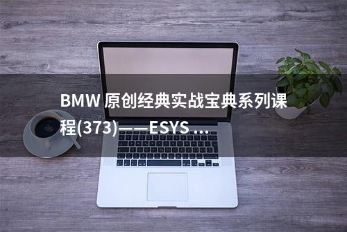 BMW 原创经典实战宝典系列课程(373)——ESYS 重置 SRS 和 DTC实战法宝