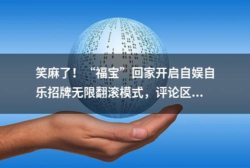 笑麻了！“福宝”回家开启自娱自乐招牌无限翻滚模式，评论区笑死