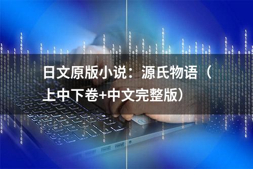 日文原版小说：源氏物语（上中下卷+中文完整版）