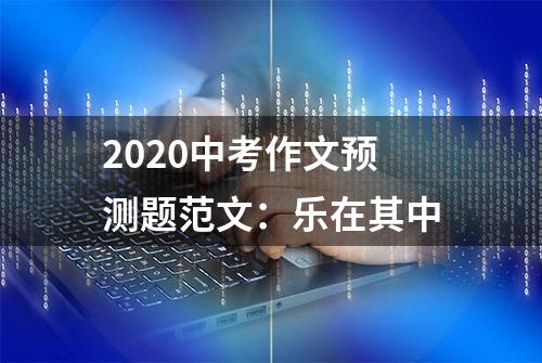 2020中考作文预测题范文：乐在其中