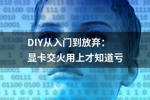 DIY从入门到放弃：显卡交火用上才知道亏