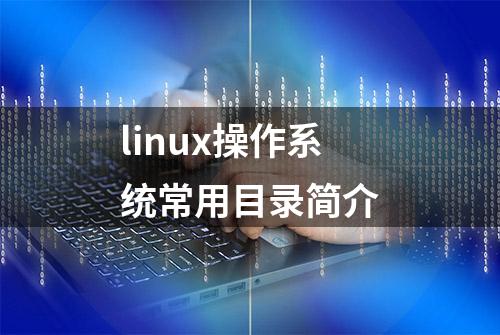 linux操作系统常用目录简介