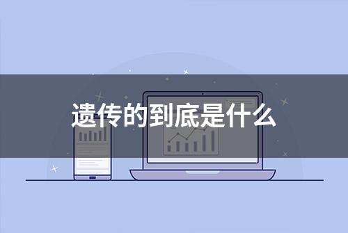 遗传的到底是什么