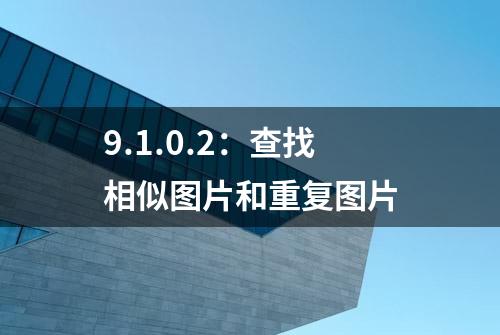 9.1.0.2：查找相似图片和重复图片