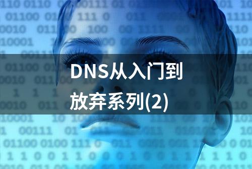 DNS从入门到放弃系列(2)