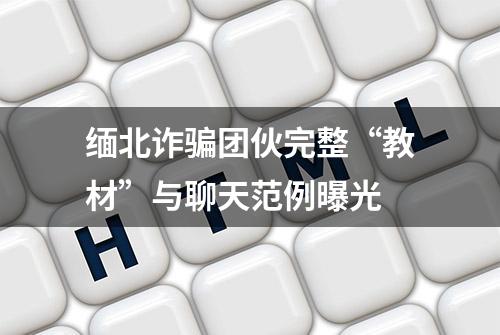 缅北诈骗团伙完整“教材”与聊天范例曝光