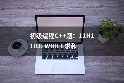 初级编程C++题：11H1103: WHILE求和