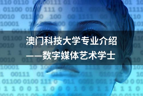 澳门科技大学专业介绍——数字媒体艺术学士