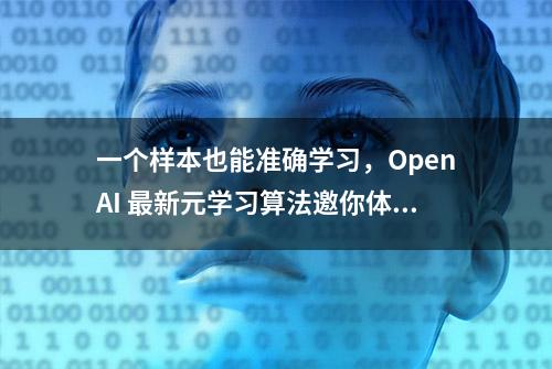 一个样本也能准确学习，OpenAI 最新元学习算法邀你体验