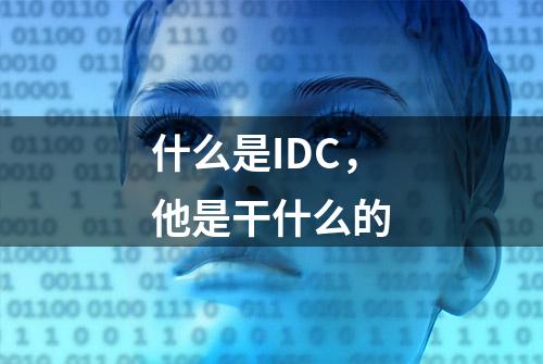 什么是IDC，他是干什么的