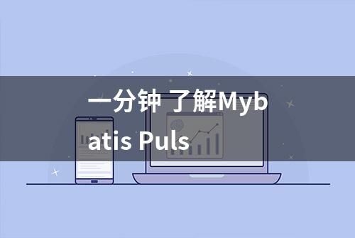 一分钟 了解Mybatis Puls