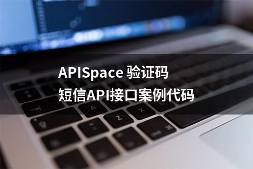 APISpace 验证码短信API接口案例代码