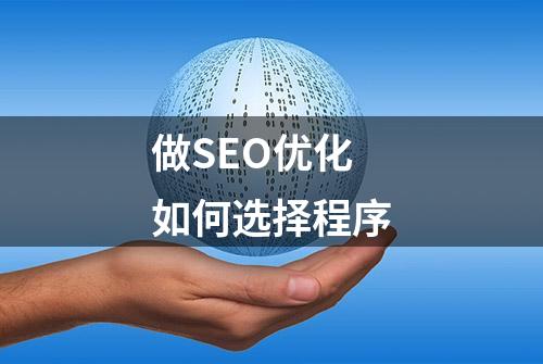 做SEO优化如何选择程序