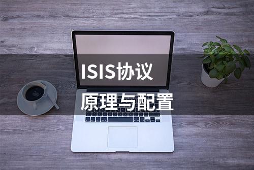 ISIS协议原理与配置