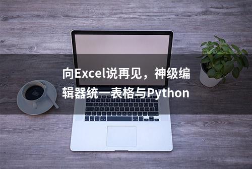 向Excel说再见，神级编辑器统一表格与Python