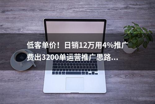 低客单价！日销12万用4%推广费出3200单运营推广思路分享