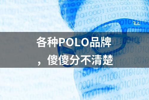 各种POLO品牌，傻傻分不清楚