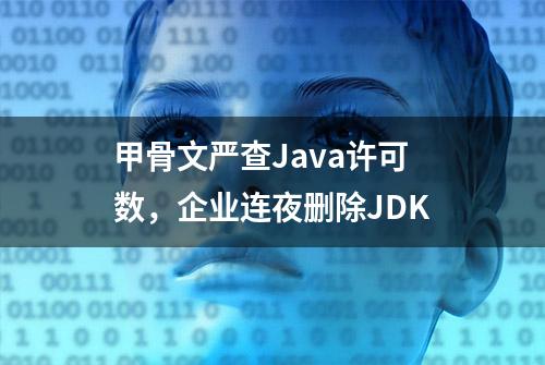 甲骨文严查Java许可数，企业连夜删除JDK